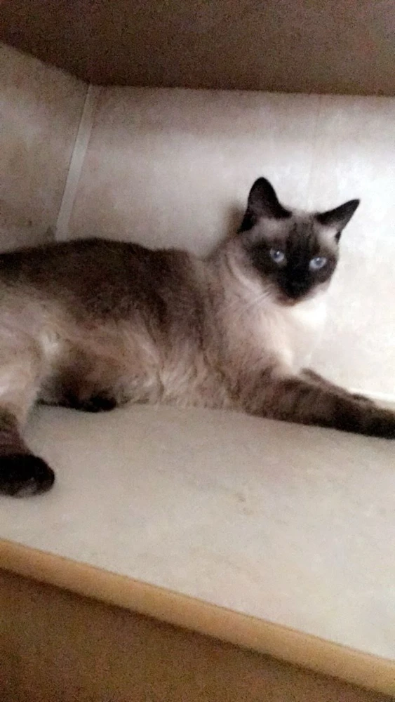 Image uploaded by Joseph