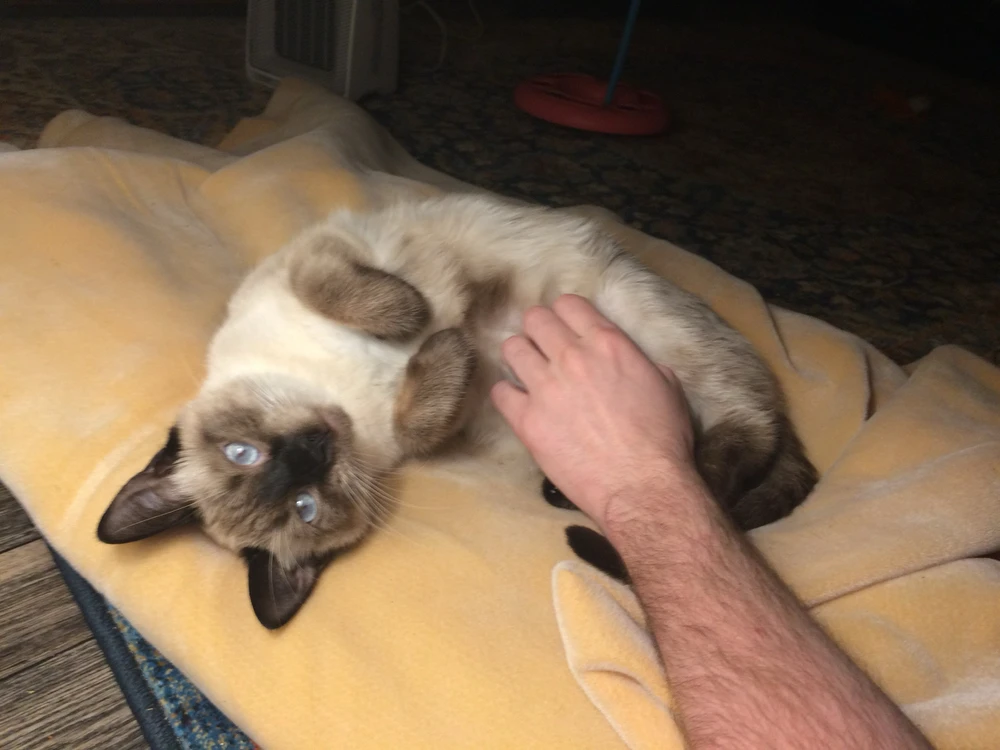 Image uploaded by Joseph