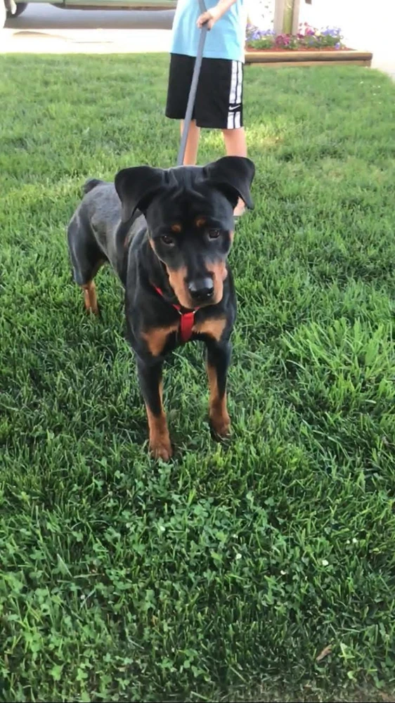 GIF uploaded by Robert