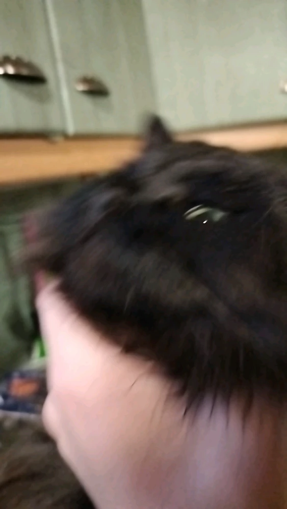 GIF-tiedoston lisäsi Luke