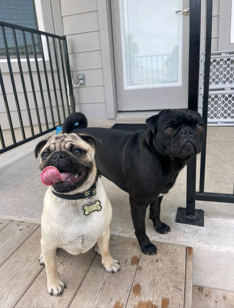 GIF uploaded by Tory