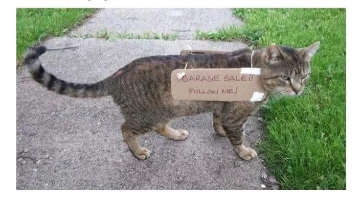 GIF hochgeladen von Doris