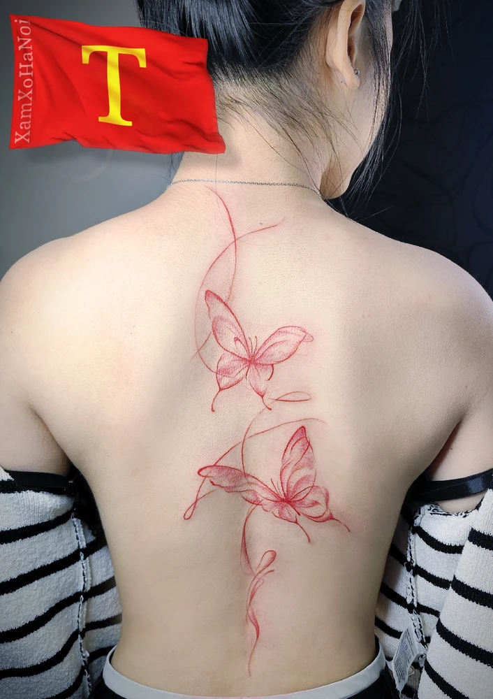 Ảnh do Tùng tải lên