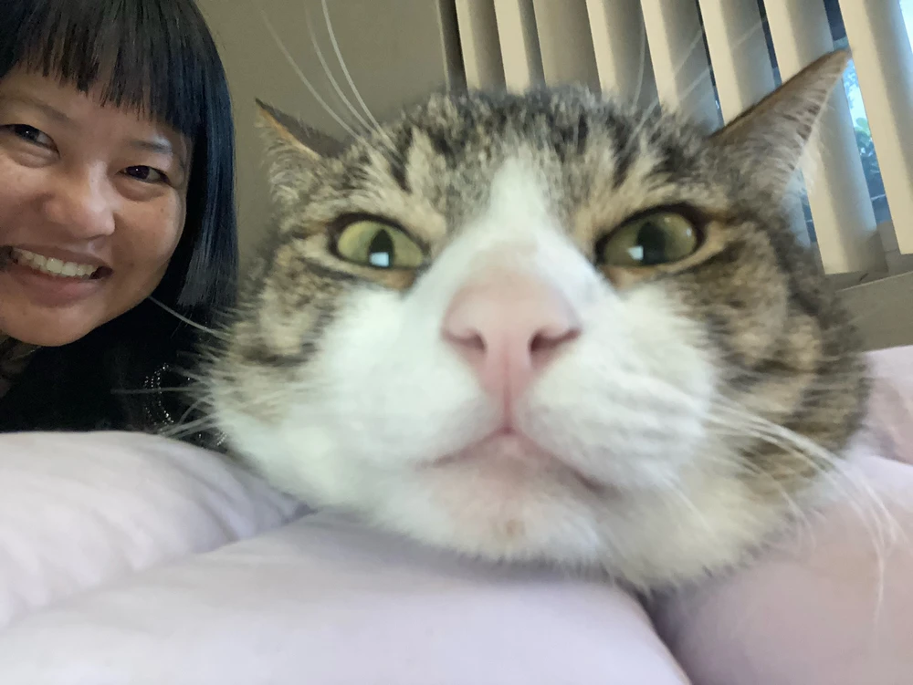 Jess上传的GIF