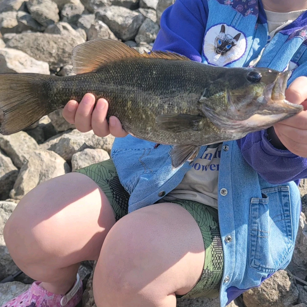 GIF uploaded by Phoenix wheeler