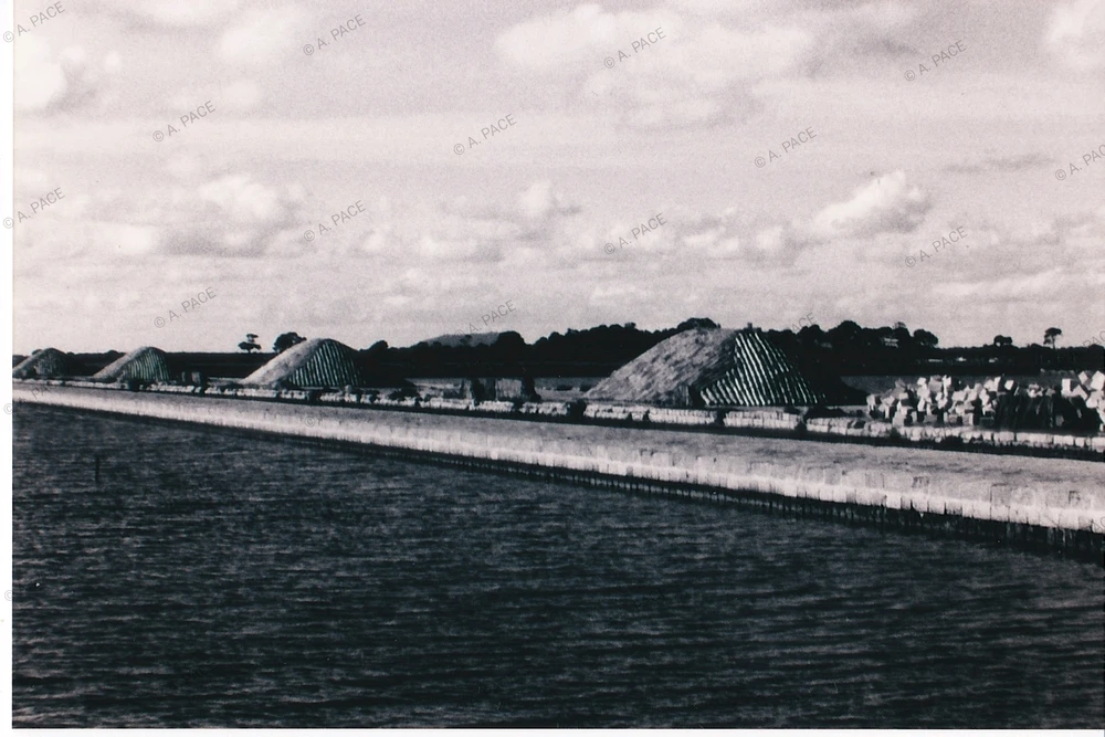 Immagine caricata da Alessandro | alpacigno