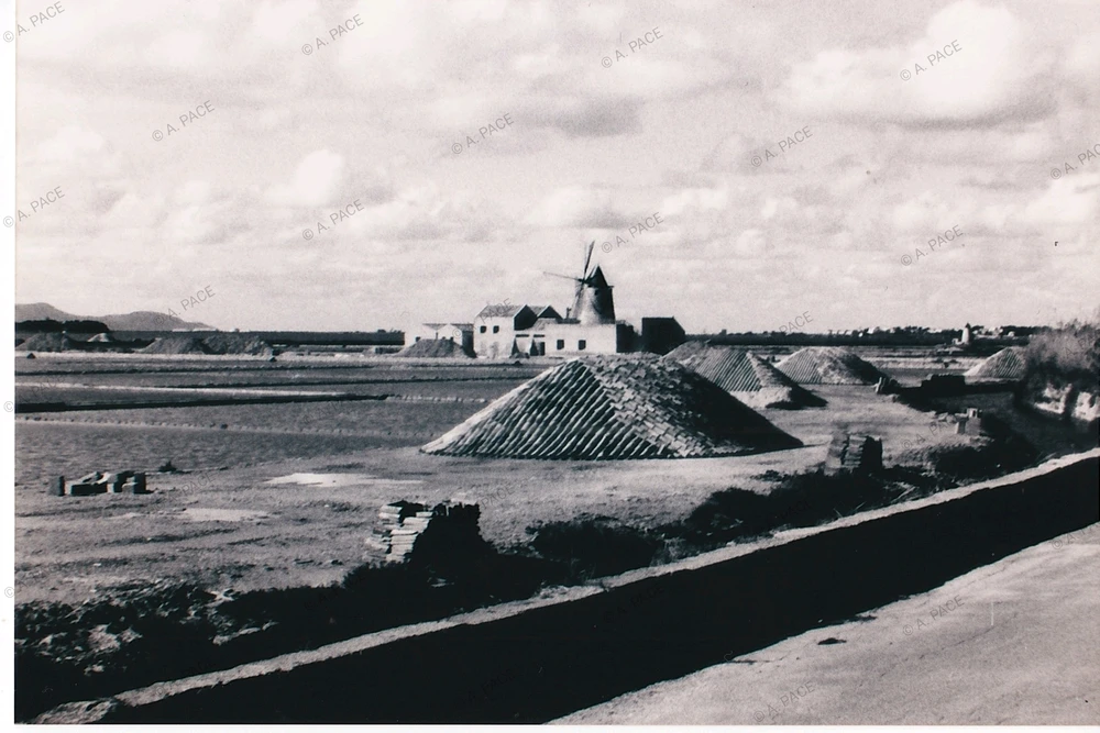 Immagine caricata da Alessandro | alpacigno