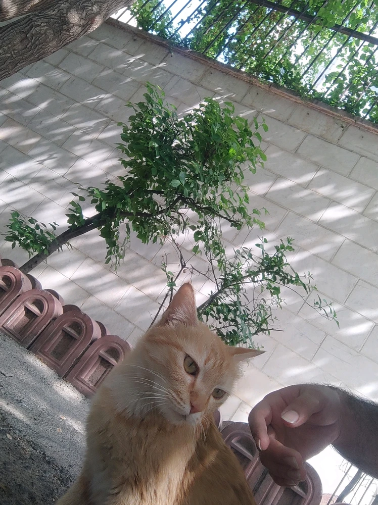 GIF آپلود شده توسط Hadi