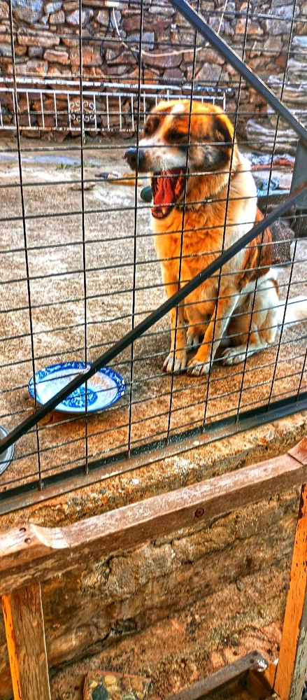 Bild hochgeladen von Incoronata