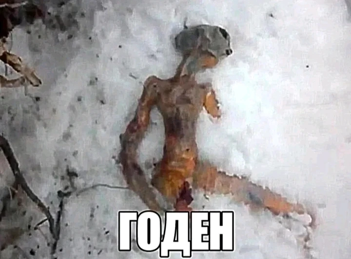 Гіфку завантажив Nazar