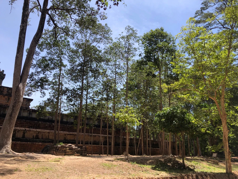 Image uploaded by Sochong