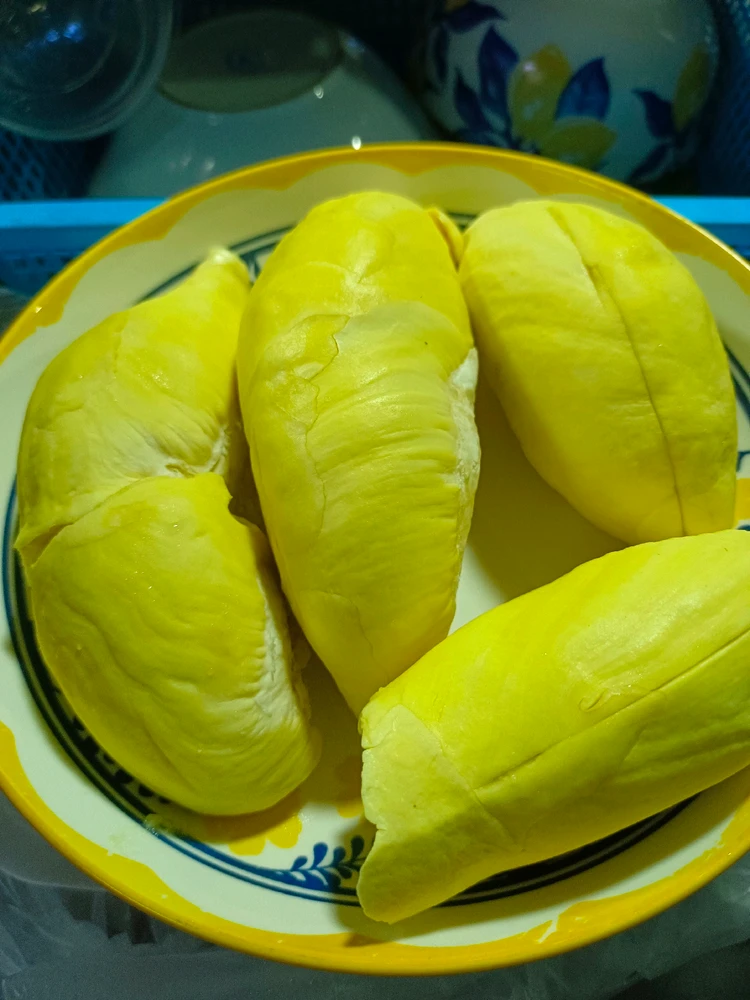 GIF อัปโหลดโดย namna