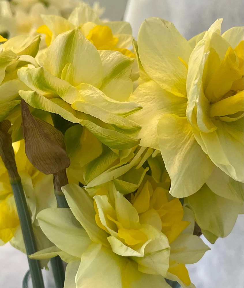 Image uploaded by Olga