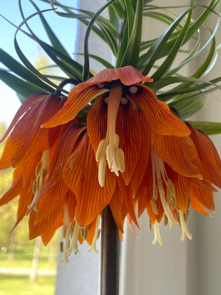 Image uploaded by Olga