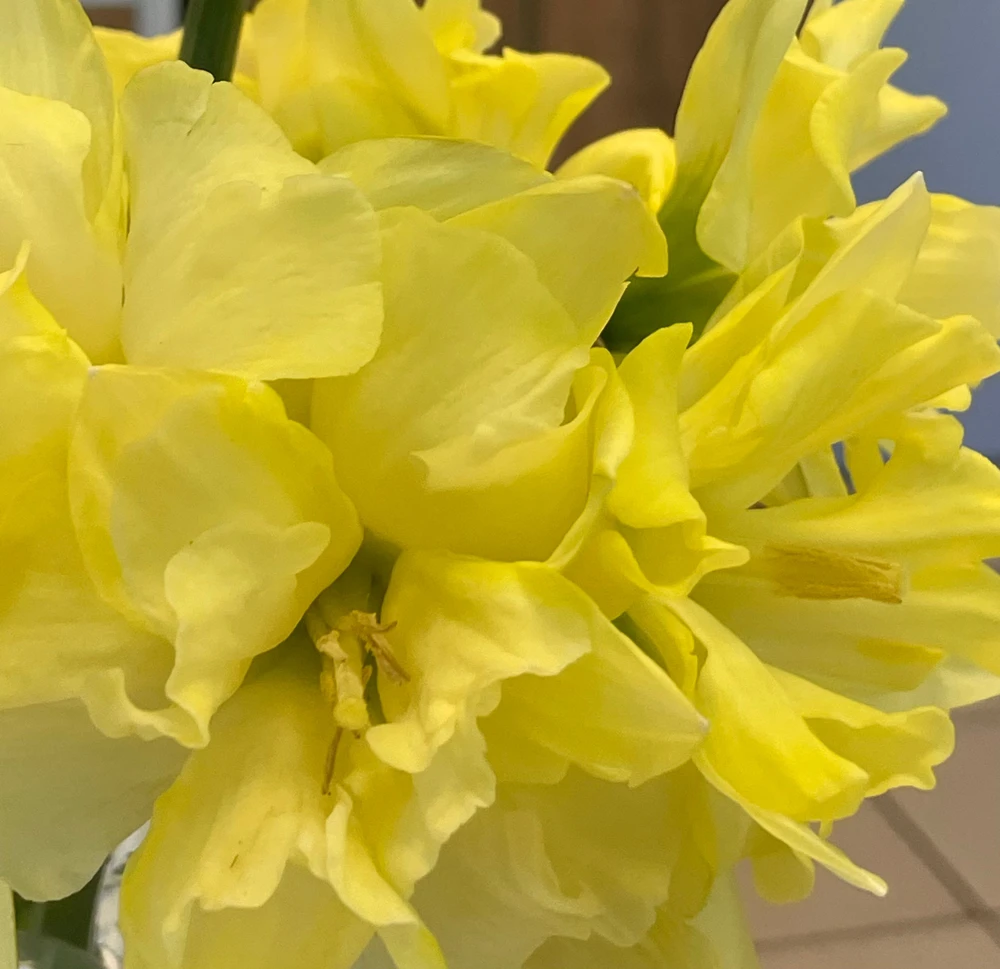 Image uploaded by Olga