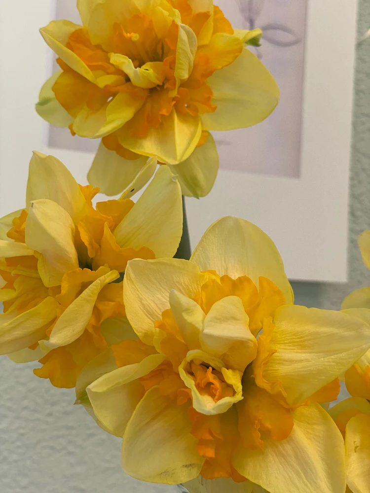 Image uploaded by Olga