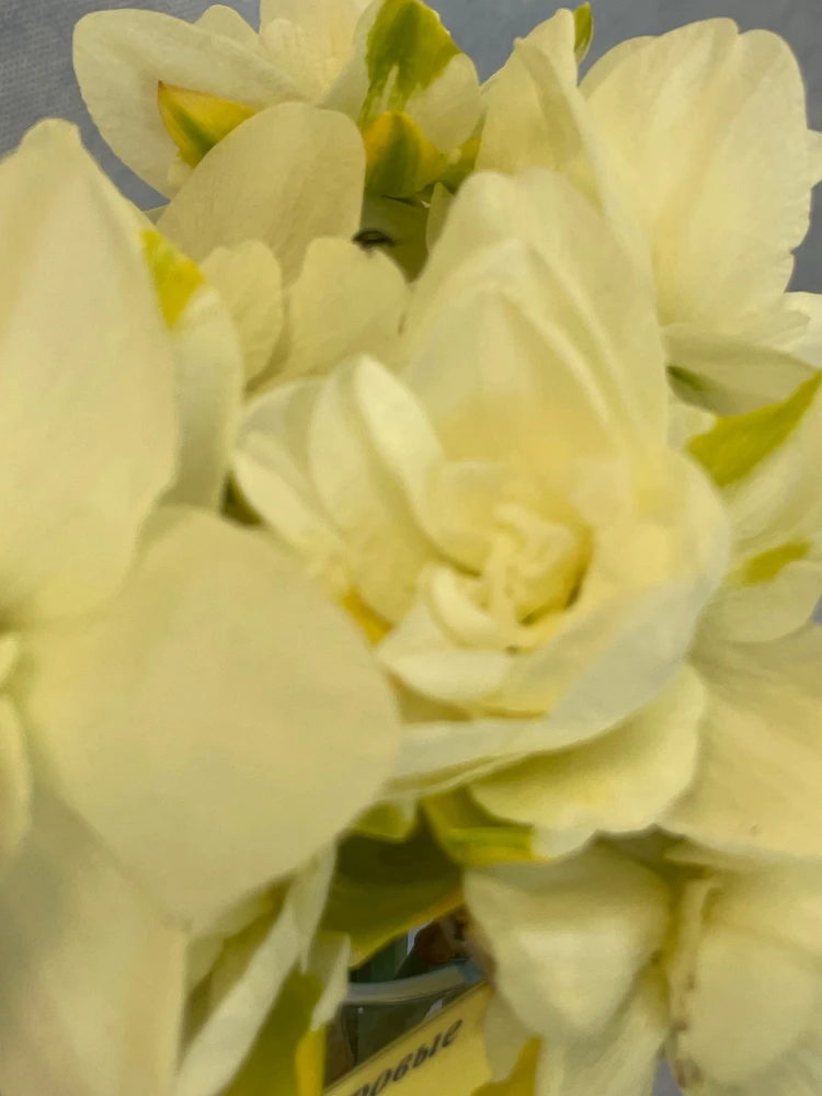 Image uploaded by Olga