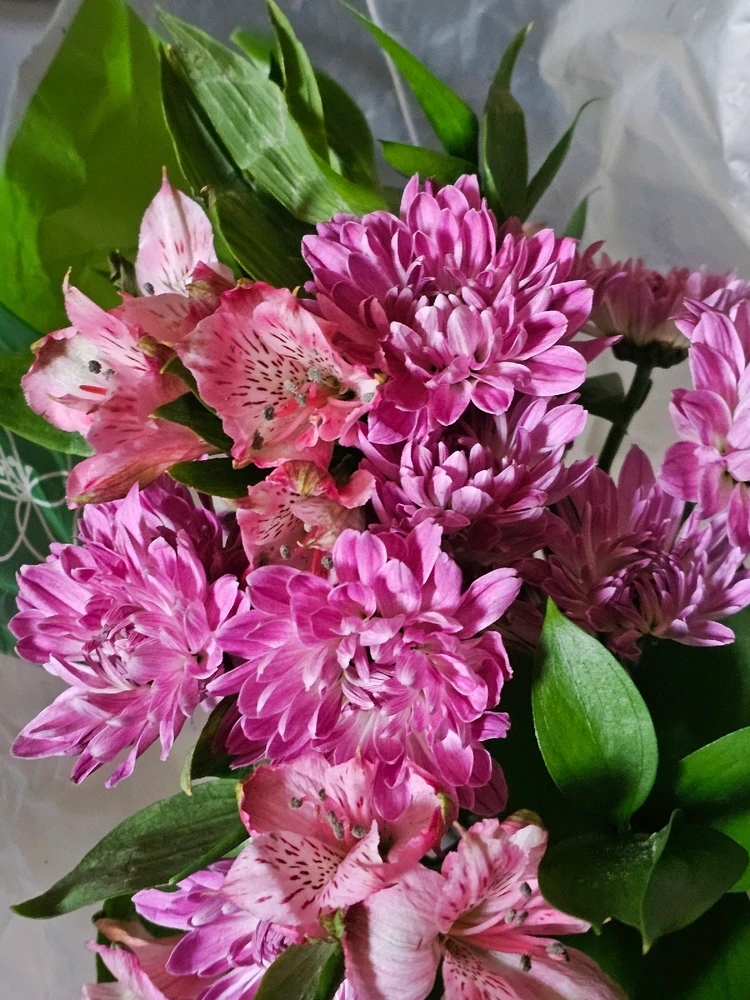 Image uploaded by Lovely