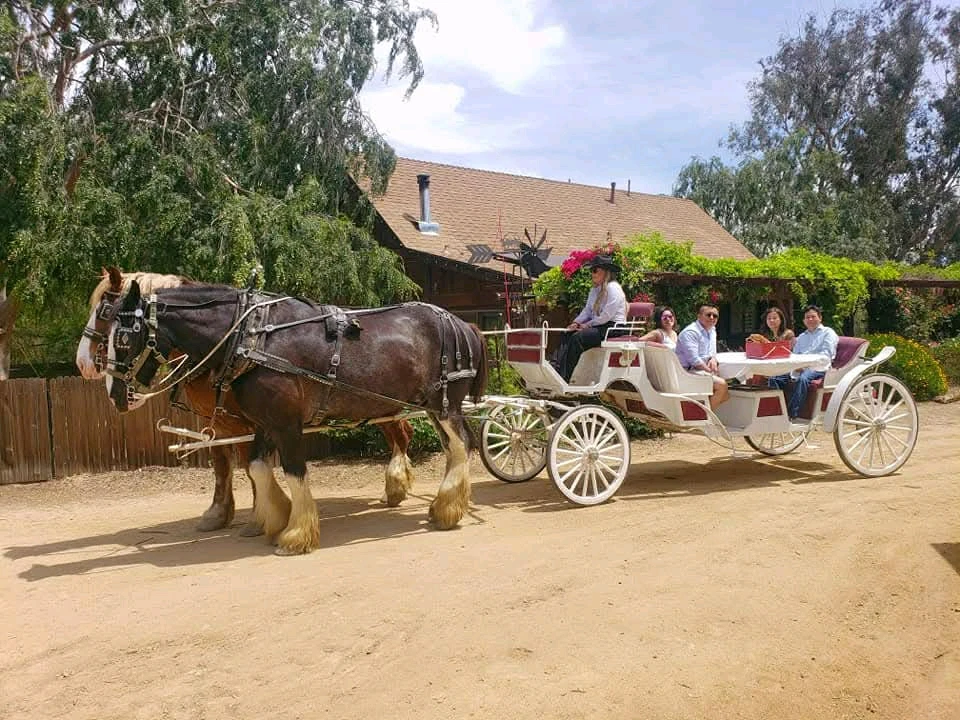 Image uploaded by Brit