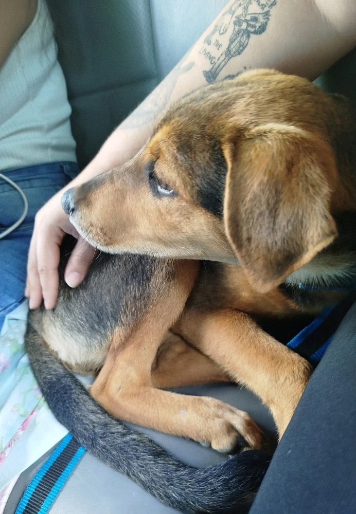 Imagem enviada por Bruna