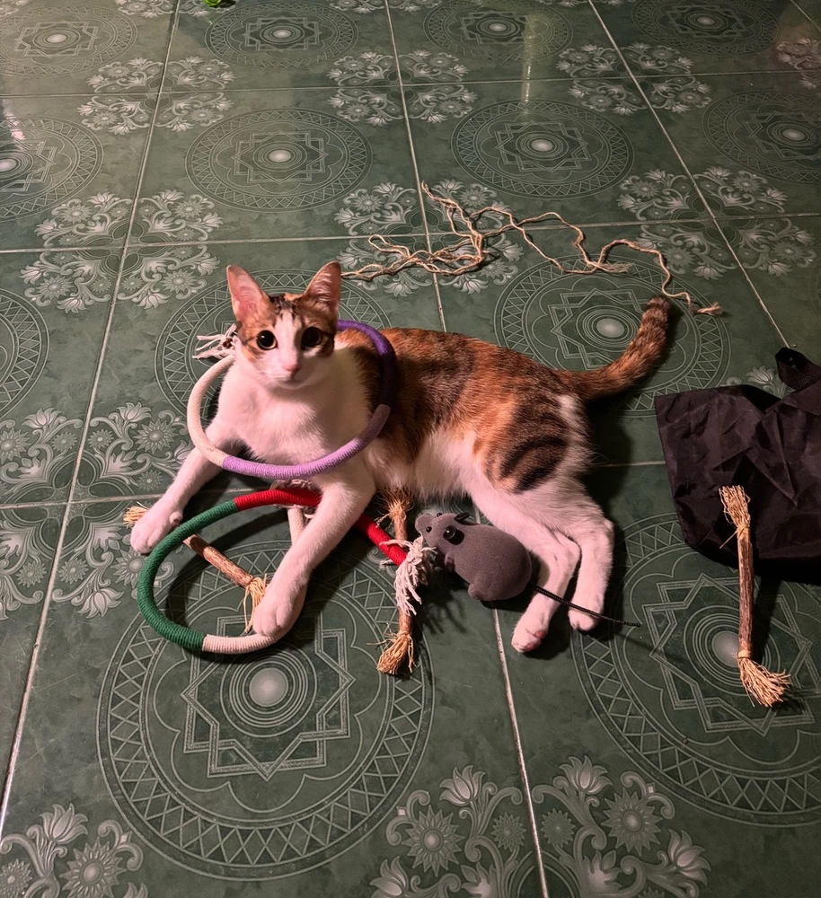 GIF uploaded by Pat♡