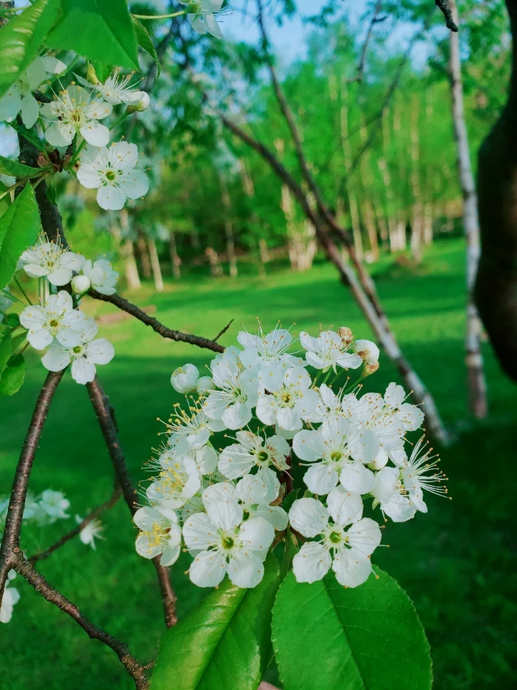 Image uploaded by Lovely