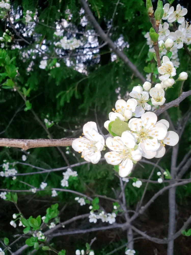 Image uploaded by Lovely