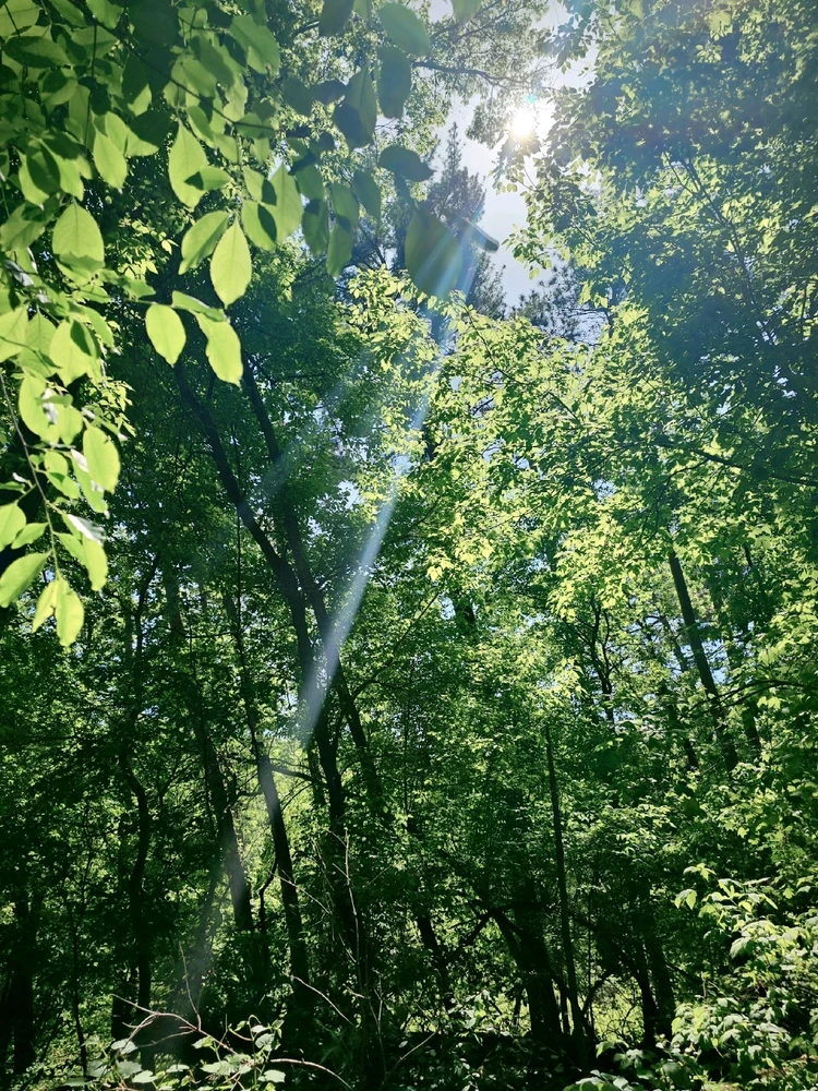 Image uploaded by Lovely