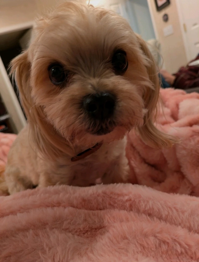 GIF uploaded by Holly