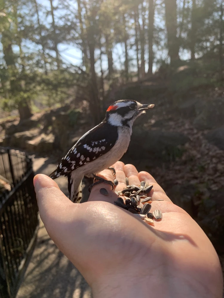 GIF uploaded by Andrew McDonald