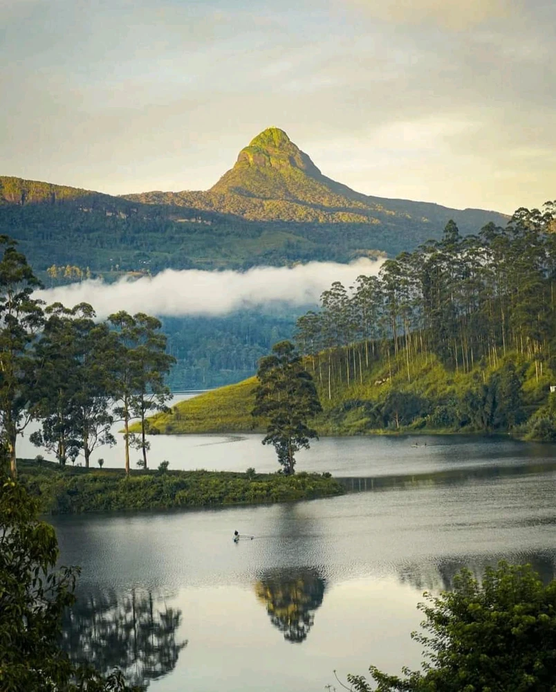 GIF uploaded by A Cash