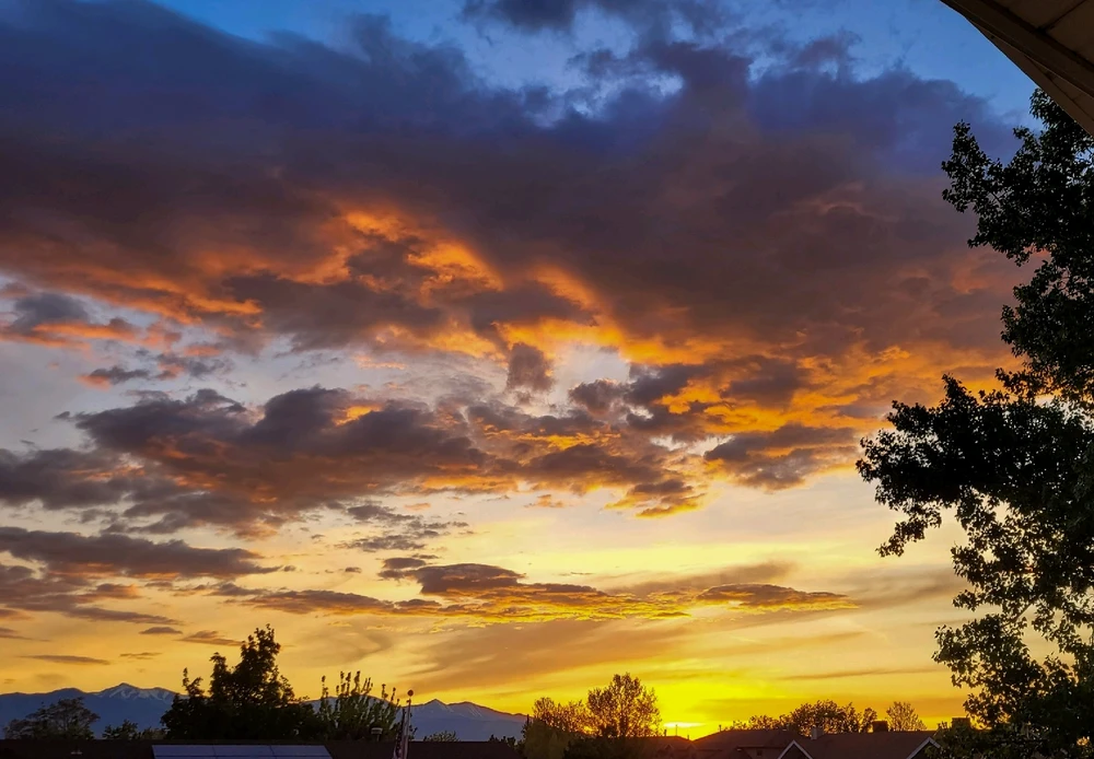 GIF uploaded by Devon