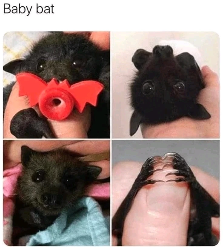 Гіфку завантажив Natalia🦇