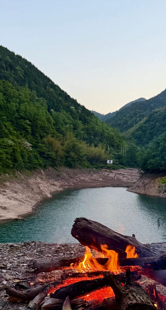 二虫上傳的圖片