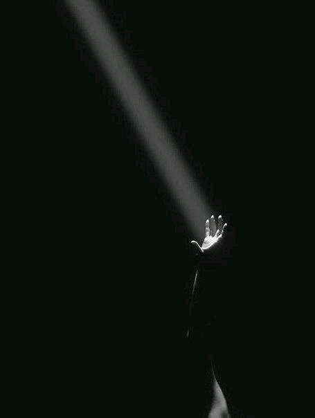 GIF uploaded by Ari