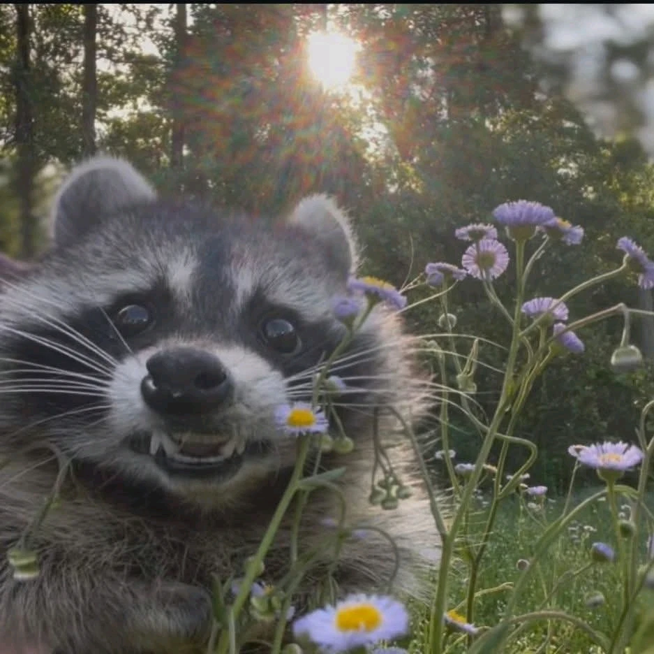 GIF uploaded by ꓄ђ