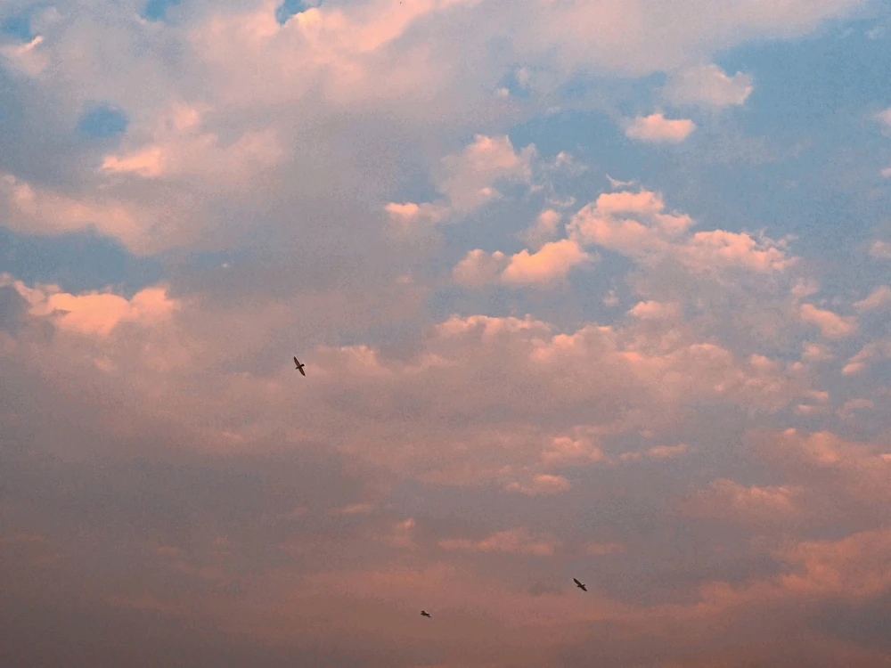 GIF uploaded by Suf