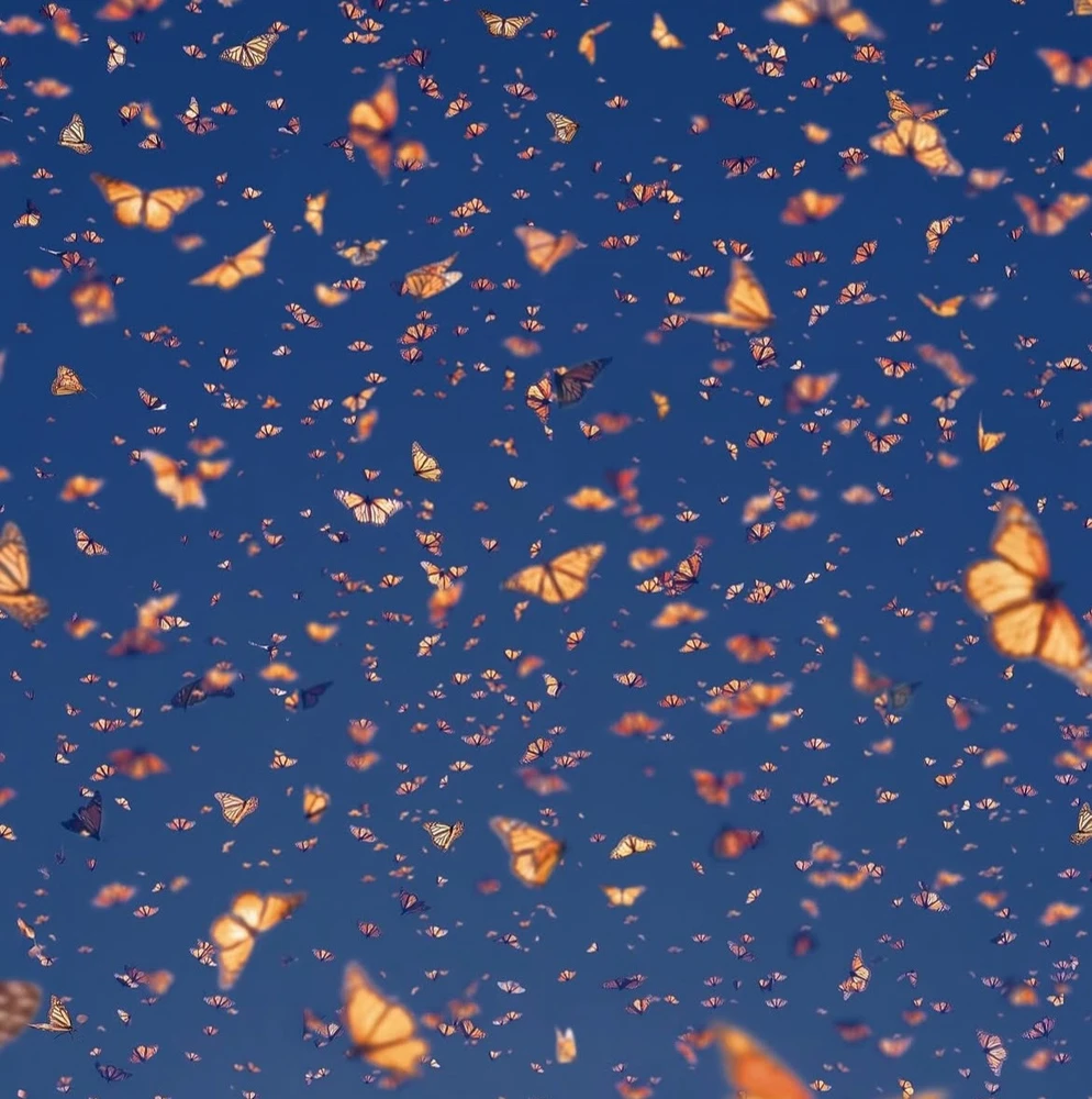 Image uploaded by Olga