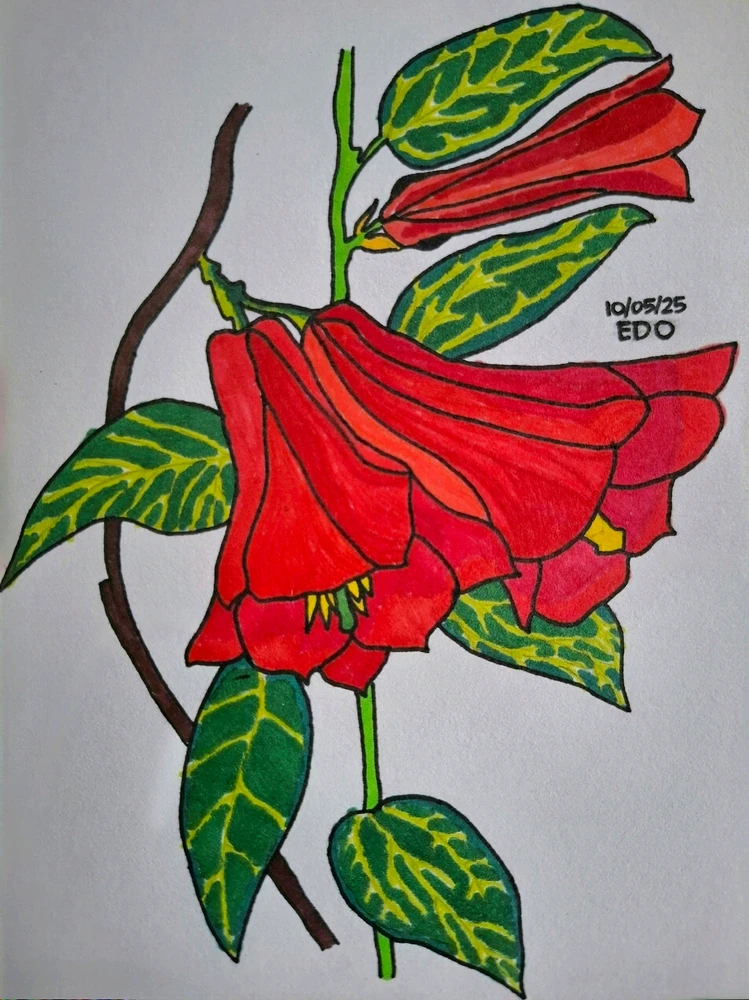 Image uploaded by Edo