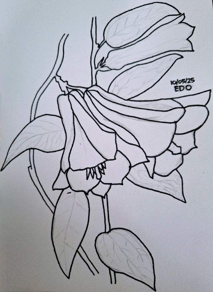 Image uploaded by Edo