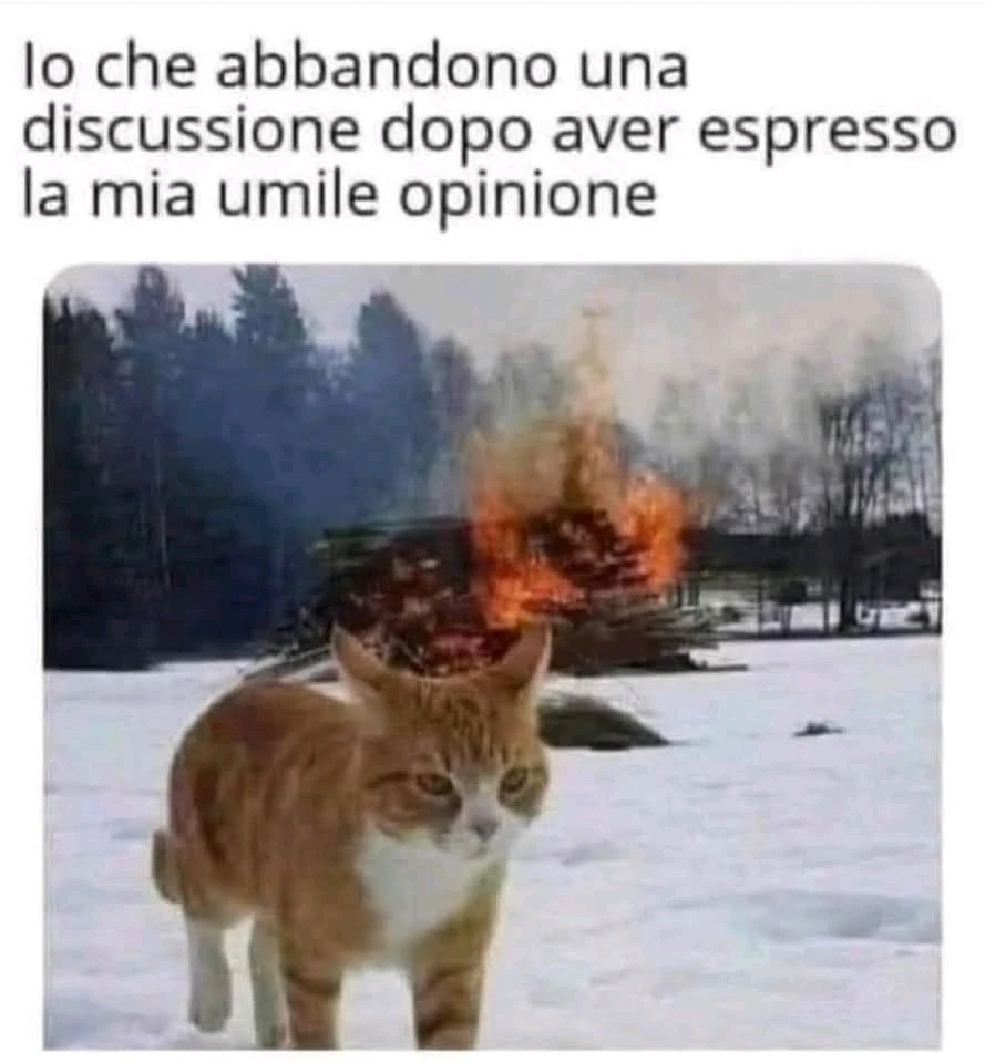 GIF caricata da 𝘎𝘪𝘢𝘱 ✨️