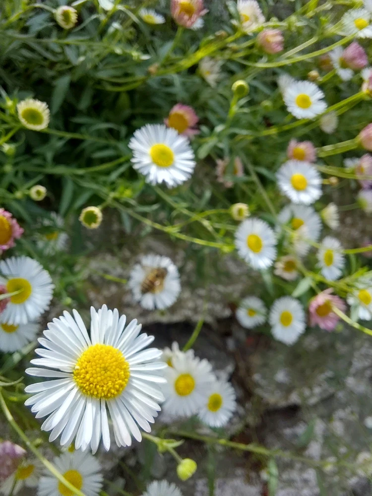 GIF uploaded by Diksha