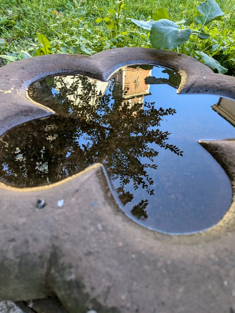 Зображення завантажив Marina