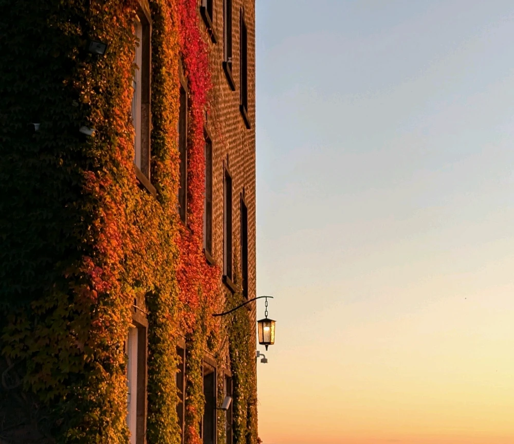 Зображення завантажив Marina