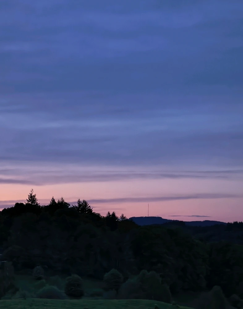 GIF ajouté par Mu 🌿