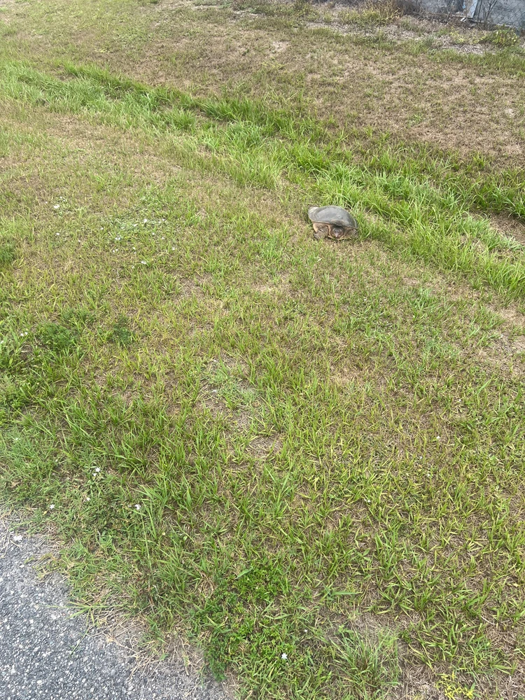 GIF uploaded by Mack