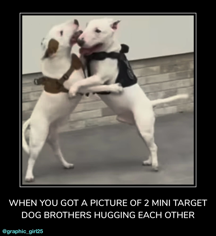 GIF uploaded by Emma