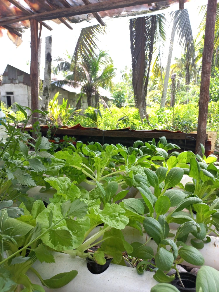 Gambar diunggah dening Lola