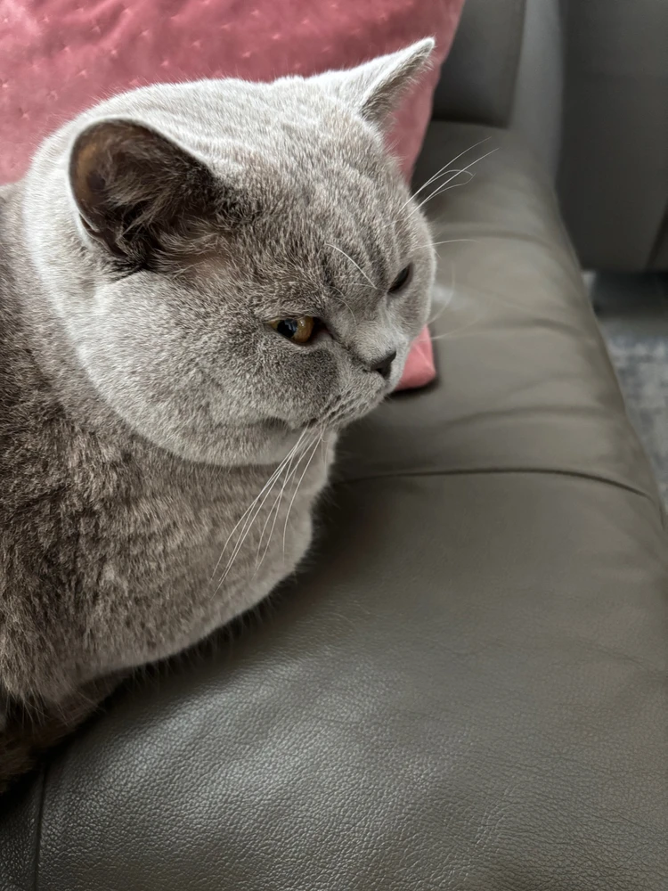 Image uploaded by Yasmin