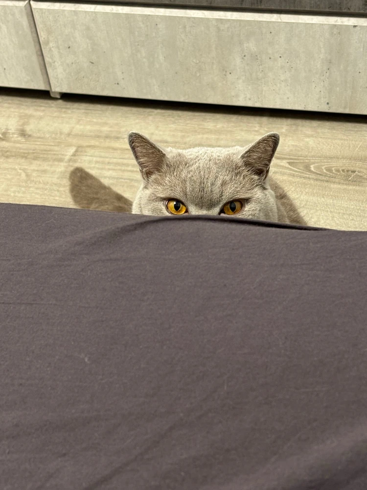 Image uploaded by Yasmin